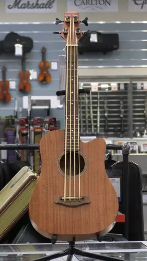 Gold Tone - MICRO BASS